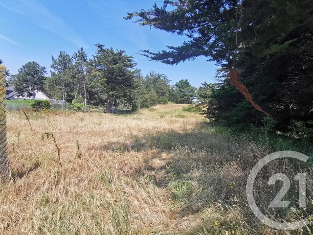 terrain - AGON COUTAINVILLE - 50