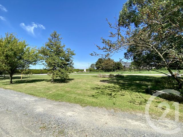 terrain à vendre - 2825.0 m2 - ST PAIR SUR MER - 50 - BASSE-NORMANDIE - Century 21 Royer Immo
