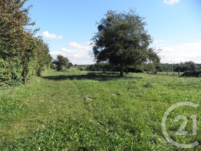 maison à vendre - 4 pièces - 118.0 m2 - LONGUEVILLE - 50 - BASSE-NORMANDIE - Century 21 Royer Immo