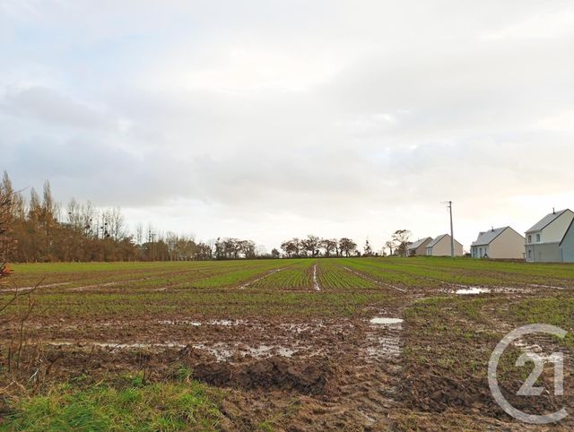 terrain à vendre - 584.0 m2 - ST AUBIN DES PREAUX - 50 - BASSE-NORMANDIE - Century 21 Royer Immo