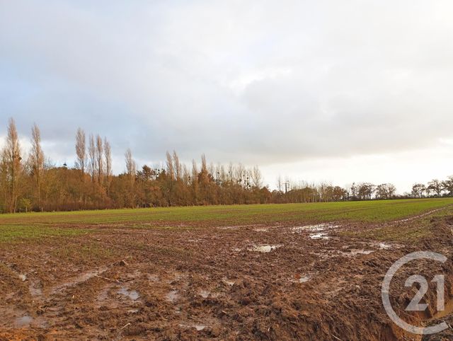 terrain à vendre - 495.0 m2 - ST AUBIN DES PREAUX - 50 - BASSE-NORMANDIE - Century 21 Royer Immo