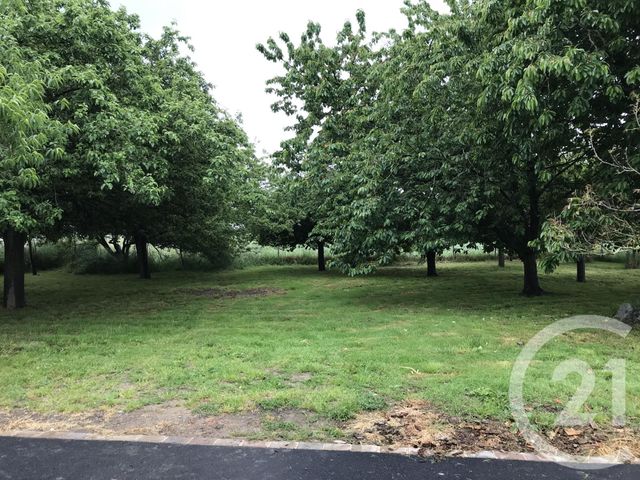 maison à vendre - 6 pièces - 148.47 m2 - COUDEVILLE SUR MER - 50 - BASSE-NORMANDIE - Century 21 Royer Immo